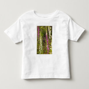 North America, Canada, Queen Charlotte Islands, 2 Toddler T-Shirt
