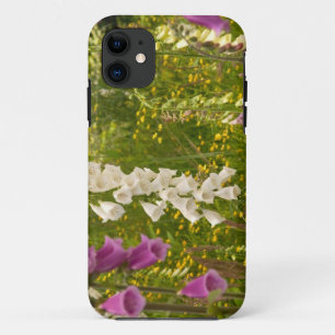 North America, Canada, Queen Charlotte Islands, 5 iPhone 11 Case
