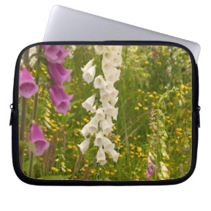 North America, Canada, Queen Charlotte Islands, 5 Laptop Sleeve