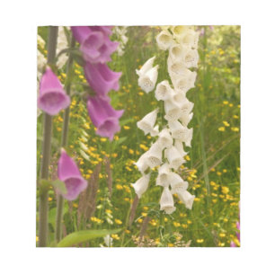 North America, Canada, Queen Charlotte Islands, 5 Notepad