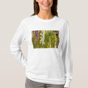 North America, Canada, Queen Charlotte Islands, 5 T-Shirt