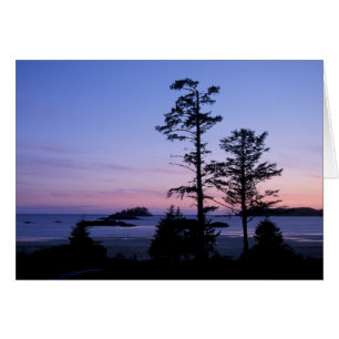 North America, Canada, Vancouver Island, trees