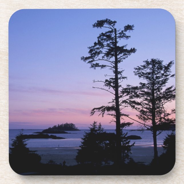 North America, Canada, Vancouver Island, trees Coaster (Front)