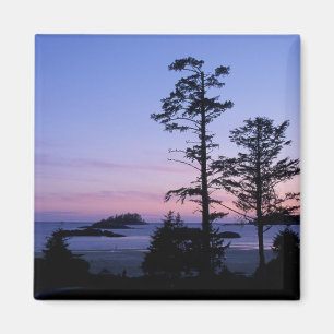 North America, Canada, Vancouver Island, trees Magnet