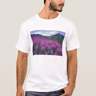 North America, Canada, Yukon. Fireweed blooms T-Shirt