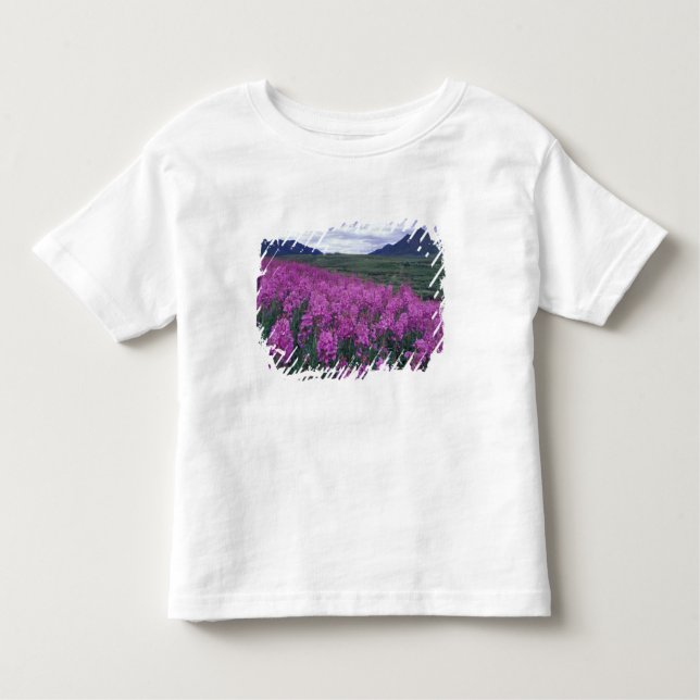 North America, Canada, Yukon. Fireweed blooms Toddler T-Shirt (Front)