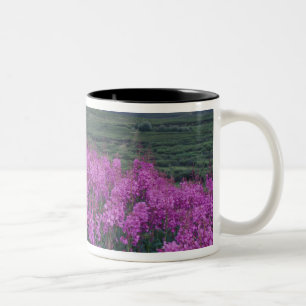 North America, Canada, Yukon. Fireweed blooms Two-Tone Coffee Mug