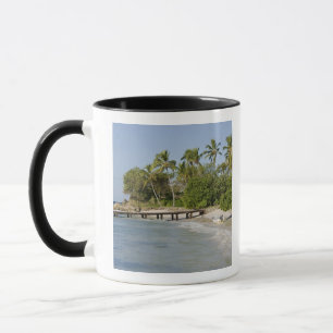 North America, Caribbean, Dominican Republic. Mug