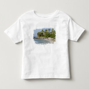 North America, Caribbean, Dominican Republic. Toddler T-Shirt