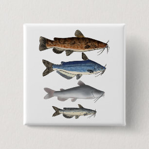North America Catfish Group 15 Cm Square Badge