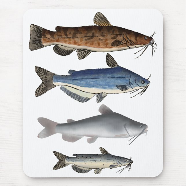 North America Catfish Group Mouse Pad (Front)