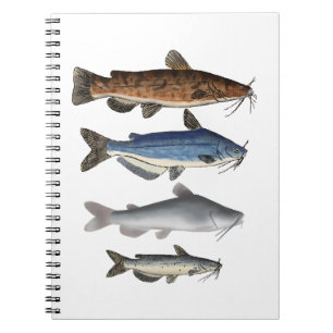 North America Catfish Group Notebook
