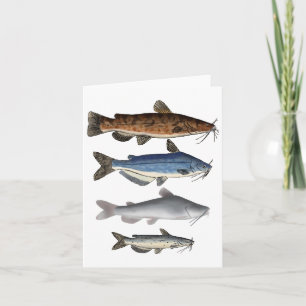 North America Catfish Group Thank You Card
