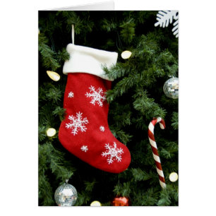 North America. Christmas decorations on tree. 3