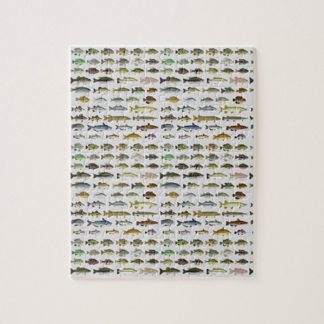 North America Freshwater Fish Group Jigsaw Puzzle (Vertical)