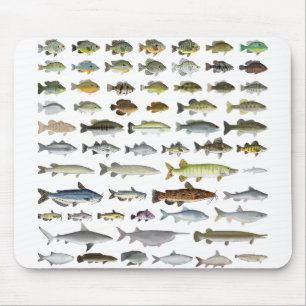 North America Freshwater Fish Group Mouse Pad