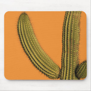 North America, Mexico, Baja California, Cabo Mouse Pad