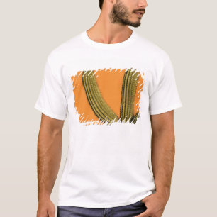 North America, Mexico, Baja California, Cabo T-Shirt