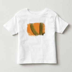North America, Mexico, Baja California, Cabo Toddler T-Shirt