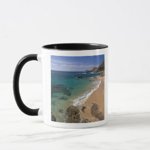 North America, Mexico, Baja California Sur, Mug