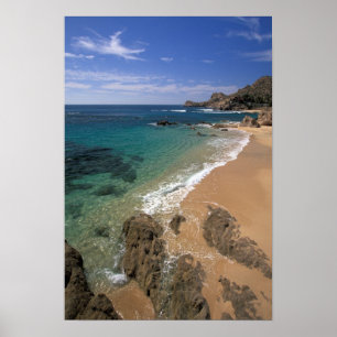 North America, Mexico, Baja California Sur, Poster