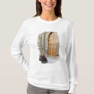 North America, Mexico, Guanajuato state, San 3 T-Shirt