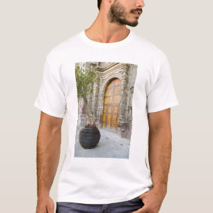 North America, Mexico, Guanajuato state, San 3 T-Shirt