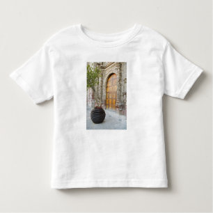 North America, Mexico, Guanajuato state, San 3 Toddler T-Shirt