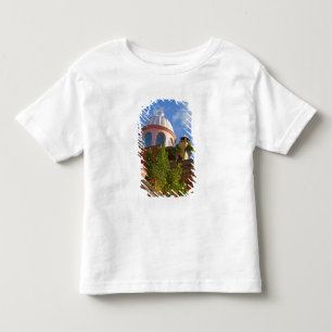 North America, Mexico, Guanajuato state, San 4 Toddler T-Shirt