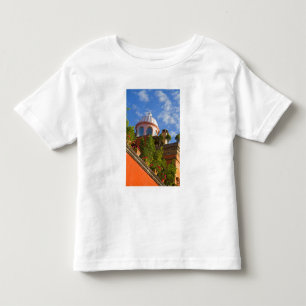 North America, Mexico, Guanajuato state, San 4 Toddler T-Shirt