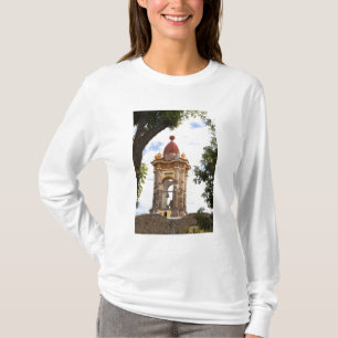 North America, Mexico, Guanajuato state, San 5 T-Shirt