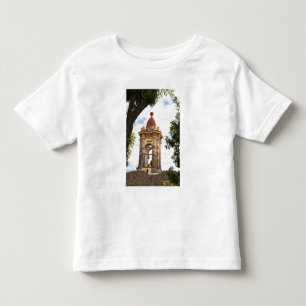 North America, Mexico, Guanajuato state, San 5 Toddler T-Shirt