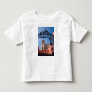 North America, Mexico, Guanajuato State. The Toddler T-Shirt
