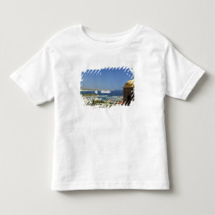 North America, Mexico, State of Baja California 2 Toddler T-Shirt