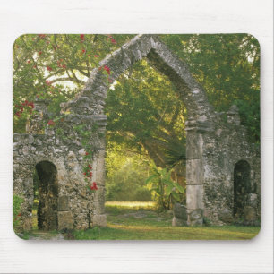 North America, Mexico, Yucatan Peninsula, Mouse Pad