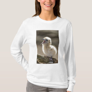 North America, Northwestern Hawaiian Islands, T-Shirt