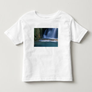 North America, U.S.A., Arizona, Havasu Canyon, 2 Toddler T-Shirt