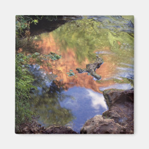North America, U.S.A., Arizona, Havasu Canyon, 3 Magnet