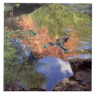 North America, U.S.A., Arizona, Havasu Canyon, 3 Tile