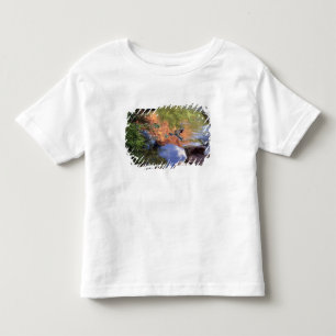 North America, U.S.A., Arizona, Havasu Canyon, 3 Toddler T-Shirt