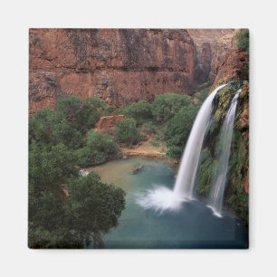 North America, U.S.A., Arizona, Havasu Canyon, Magnet