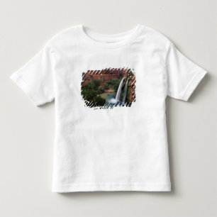North America, U.S.A., Arizona, Havasu Canyon, Toddler T-Shirt