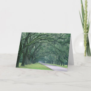 North America, U.S.A., Georgia, Savannah, Card