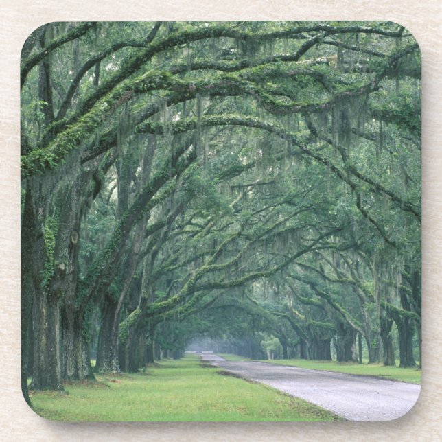 North America, U.S.A., Georgia, Savannah, Coaster (Front)