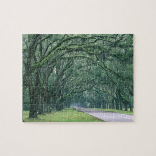 North America, U.S.A., Georgia, Savannah, Jigsaw Puzzle