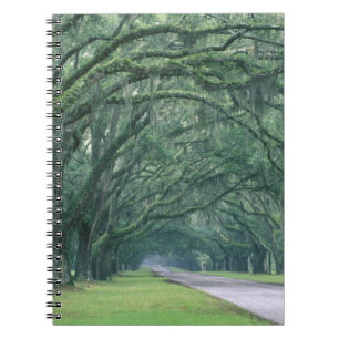 North America, U.S.A., Georgia, Savannah, Notebook