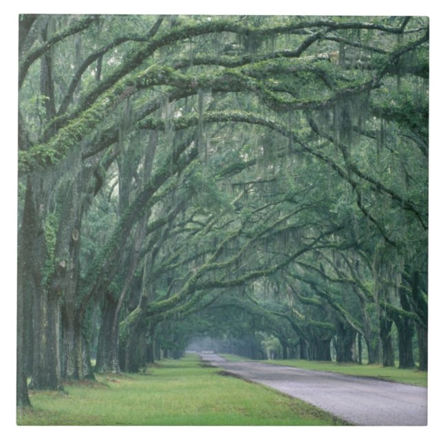 North America, U.S.A., Georgia, Savannah, Tile (Front)