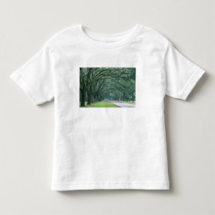 North America, U.S.A., Georgia, Savannah, Toddler T-Shirt
