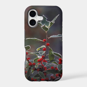 North America, United States, New England. Holly 2