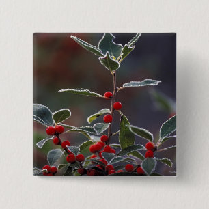 North America, United States, New England. Holly 2 15 Cm Square Badge